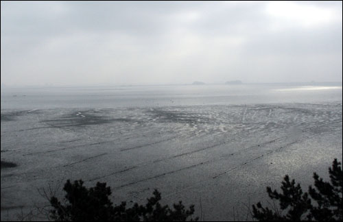 송림백사장 부근 언덕에서 본 장항갯벌 매립예정지. 